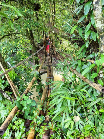 Person crossing a bamboo bridge over a river in Blimbing, Bali
