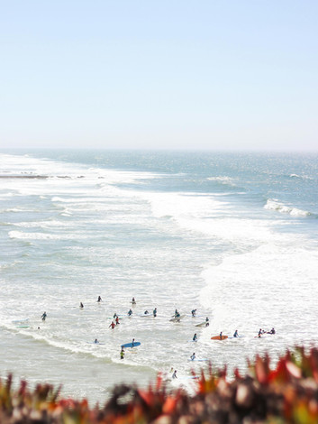 Beginner surfers learning to ride a wave