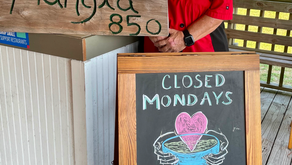 Servant Spotlight - Kim Council Owner - Mangia 850