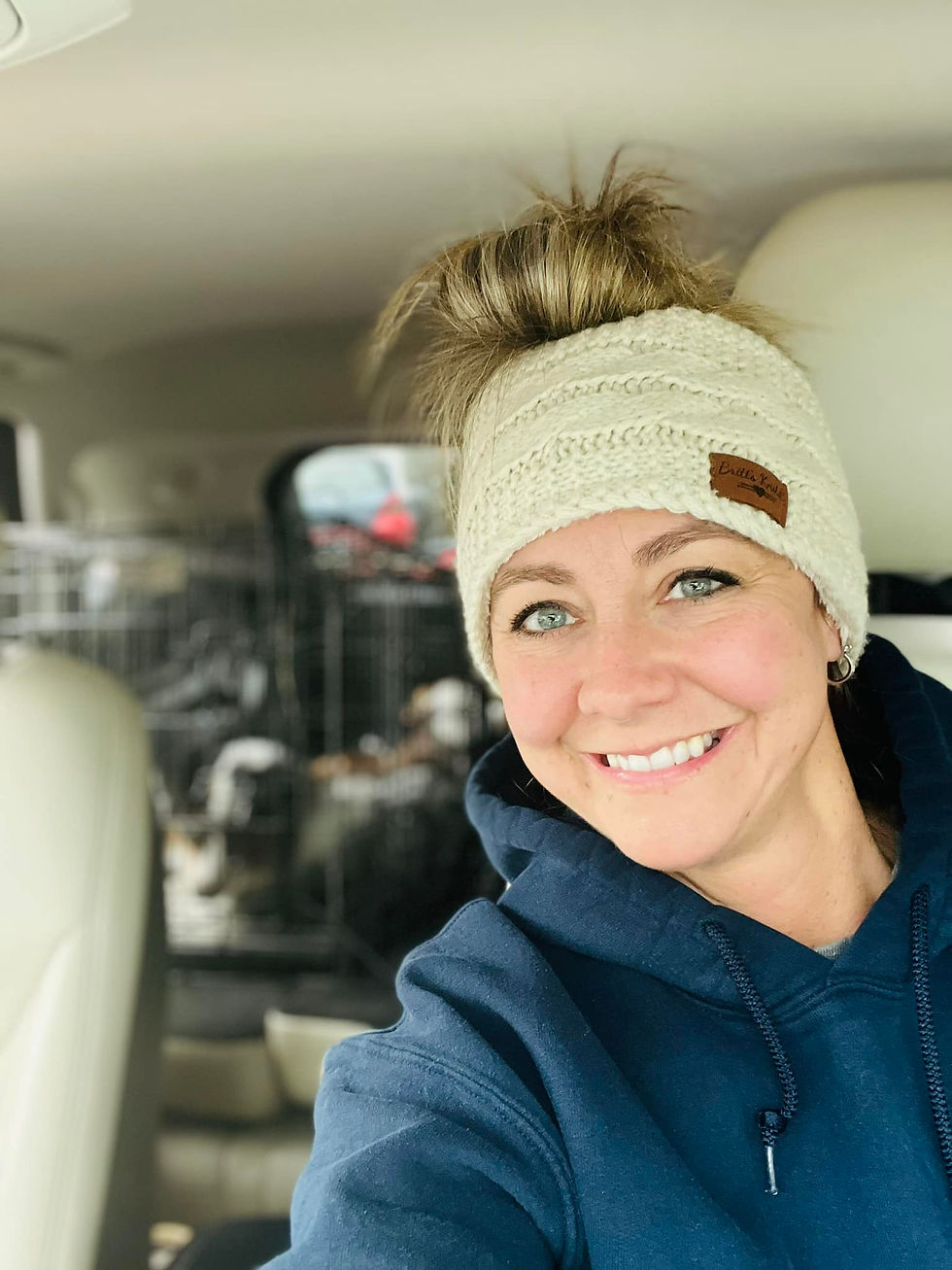 min aussie being prepared for shipping to owner