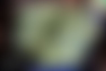 The Two B's - Broccoli and Bikes