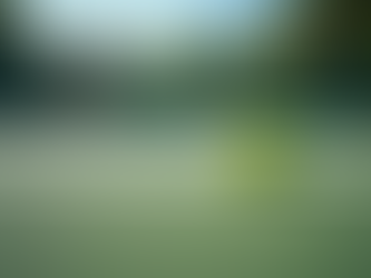 Celebrating Success and Diversity in Our 2025 Campaign as We Gear Up for an Exciting 2026