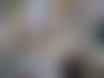 80 Anos Bispo Dom José