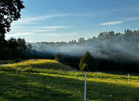 IMG_8658.jpg