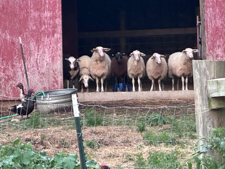 Progress in the Valley