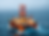 Offshore Drilling