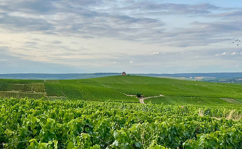 IMG_6442 3_edited_edited.jpg