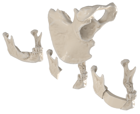 CaderaE.png