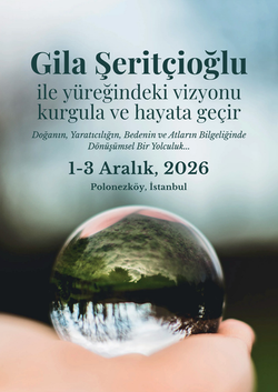 Yüreğindeki Vizyonla Buluşmak