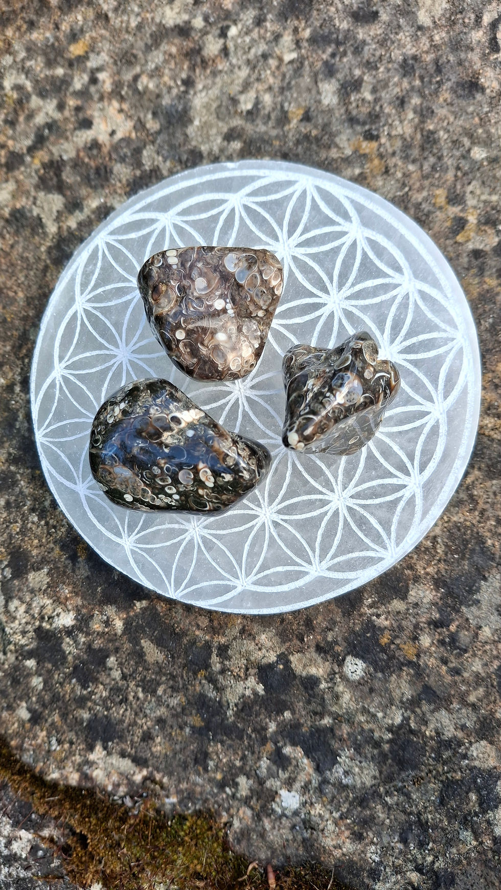 Miniature : Pierre roulée Agate Turitelle