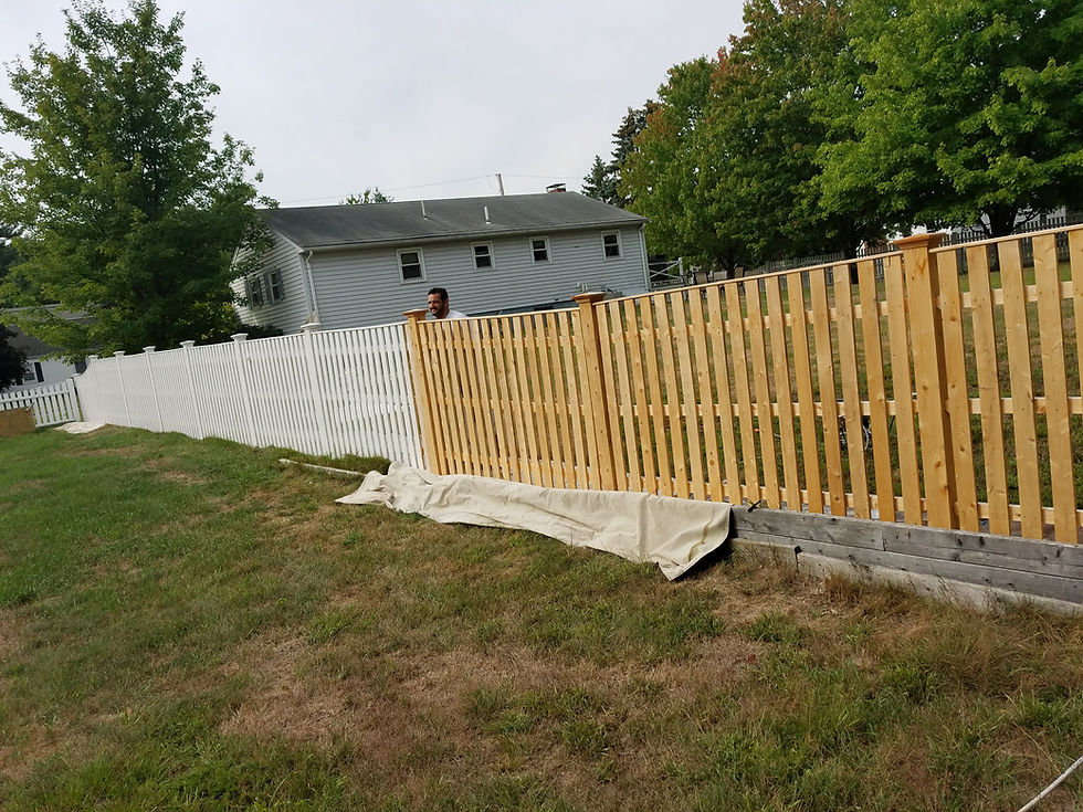 Fence painting