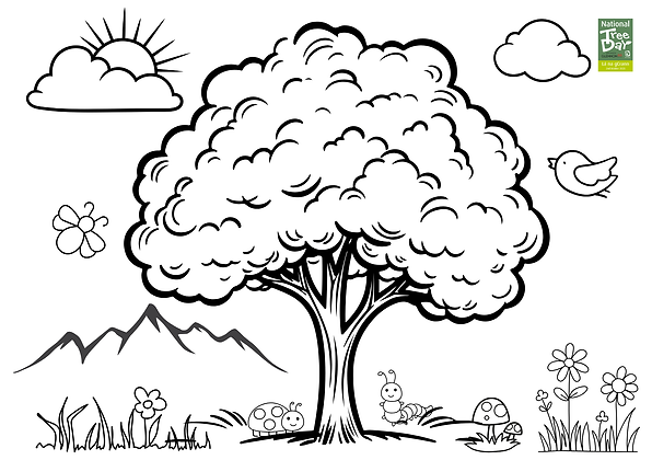 Colouring Sheet 3.png