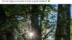 IFIM: A tree-mendous prize to celebrate the competition!