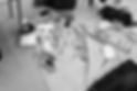 IMG_2376.jpeg