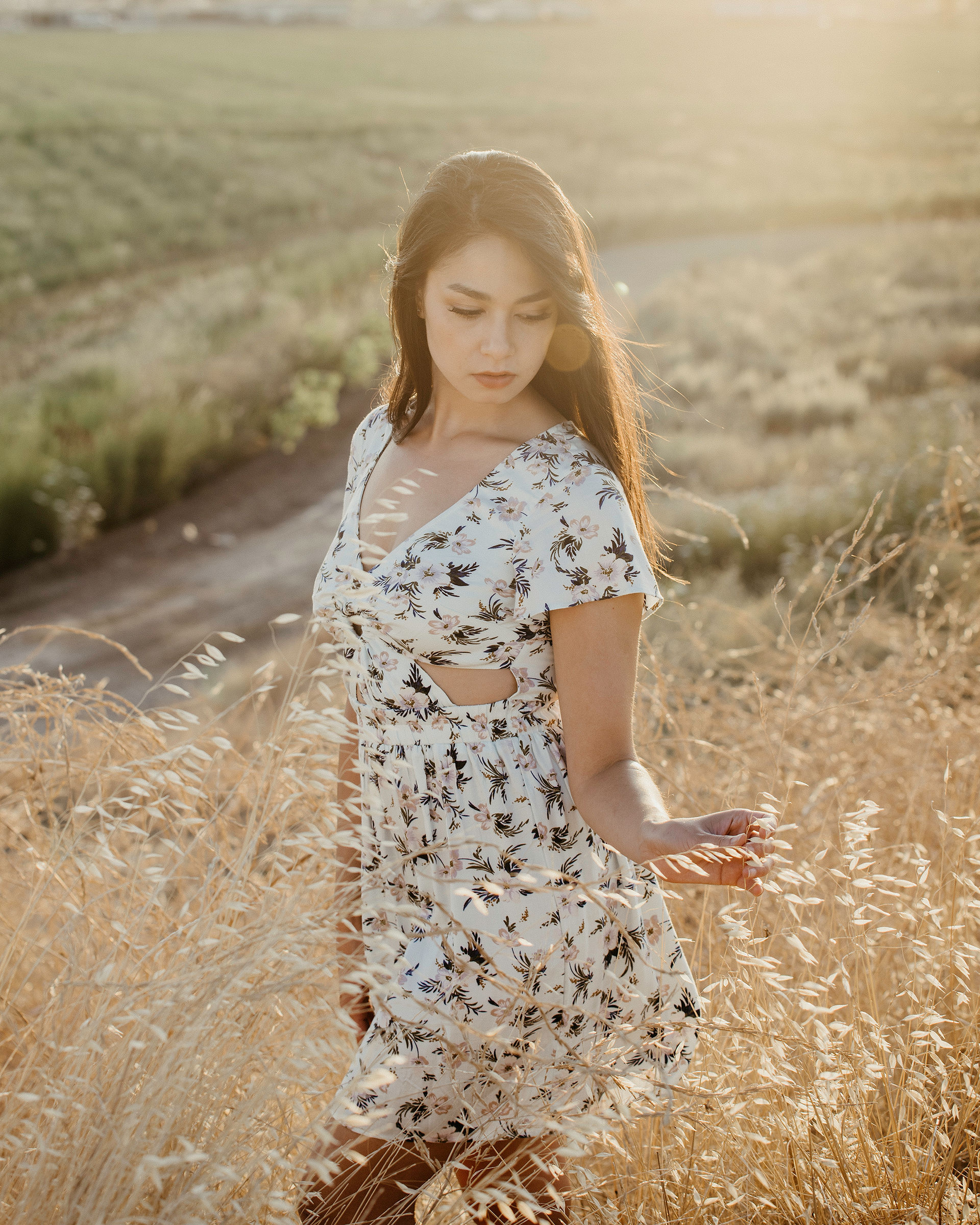 Yolo Bypass Kevin Phan Photography