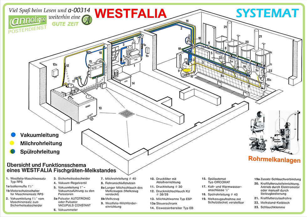 Miniaturbild: Funktionsschema Melkstand