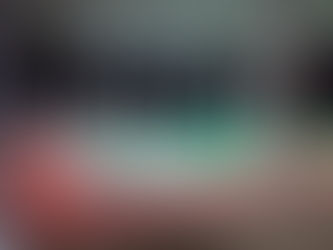 El Palmar de Cuautla