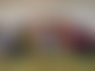 En la sesión ordinaria del Consejo Nacional de MORENA