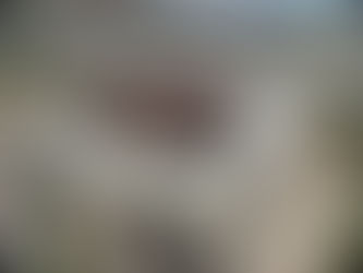 Cimentemos con bases firmes el presente para seguir creciendo. Miguel Ángel Navarro Quintero