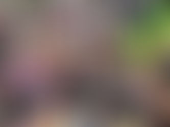 *LA OPOSICIÓN ESTÁ DESESPERADA, PERO EL PUEBLO DE MÉXICO YA NO LES CREE: CLAUDIA SHEINBAUM LLAMA A HACER EQUIPO JUNTO A ALEJANDRO ARMENTA A FAVOR DE LA CONSOLIDACIÓN DE LA 4T EN PUEBLA*