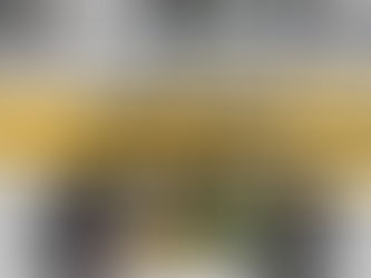 Usar el casco, incrementa la posibilidad de que regreses sano a casa, ¡¡ÚSALO!!