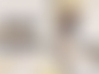 CONGRESO DEL ESTADO DE NAYARIT.
XXXIII LEGISLATURA.