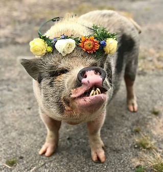 princess.JPG