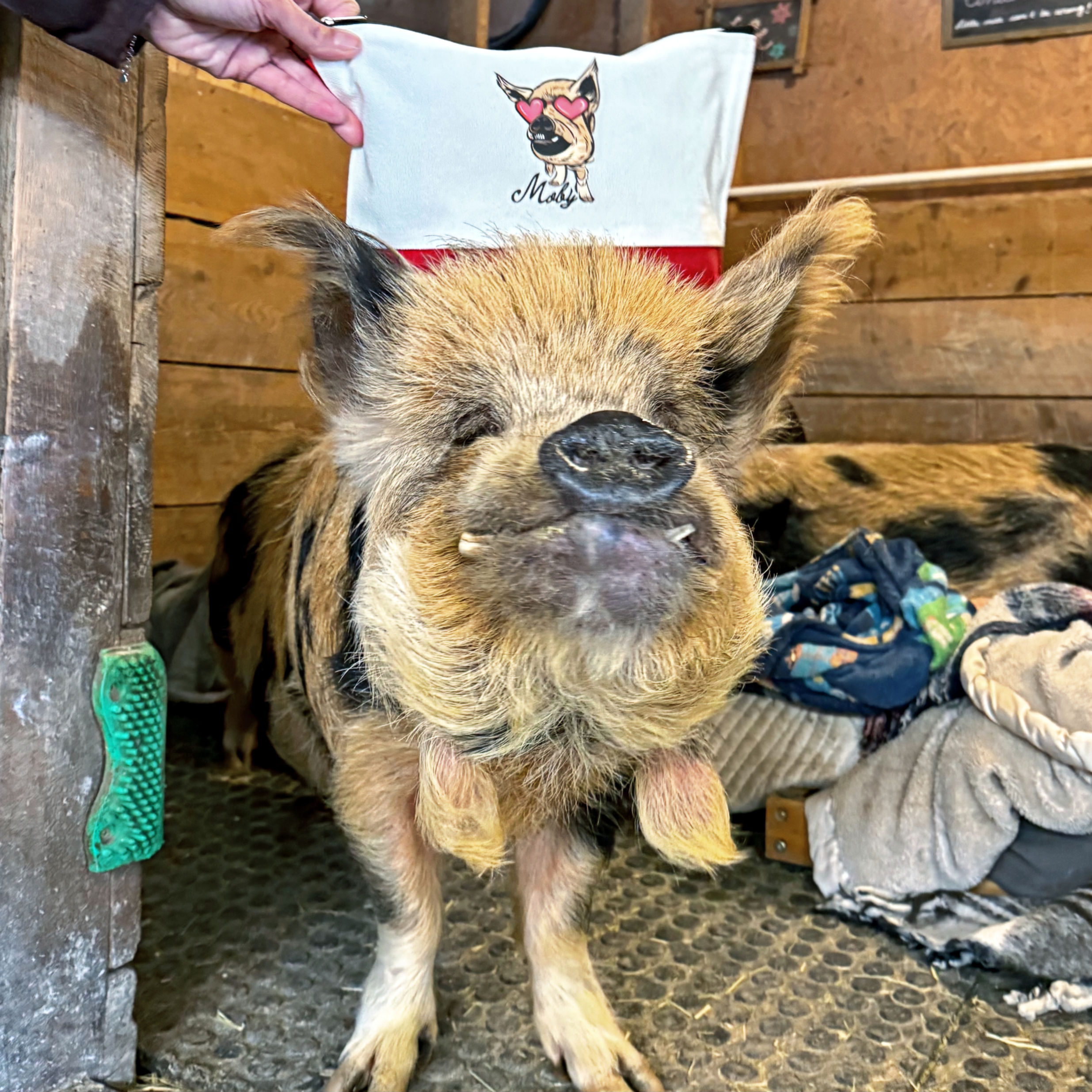 Moby Heart Eyes Canvas Pouch