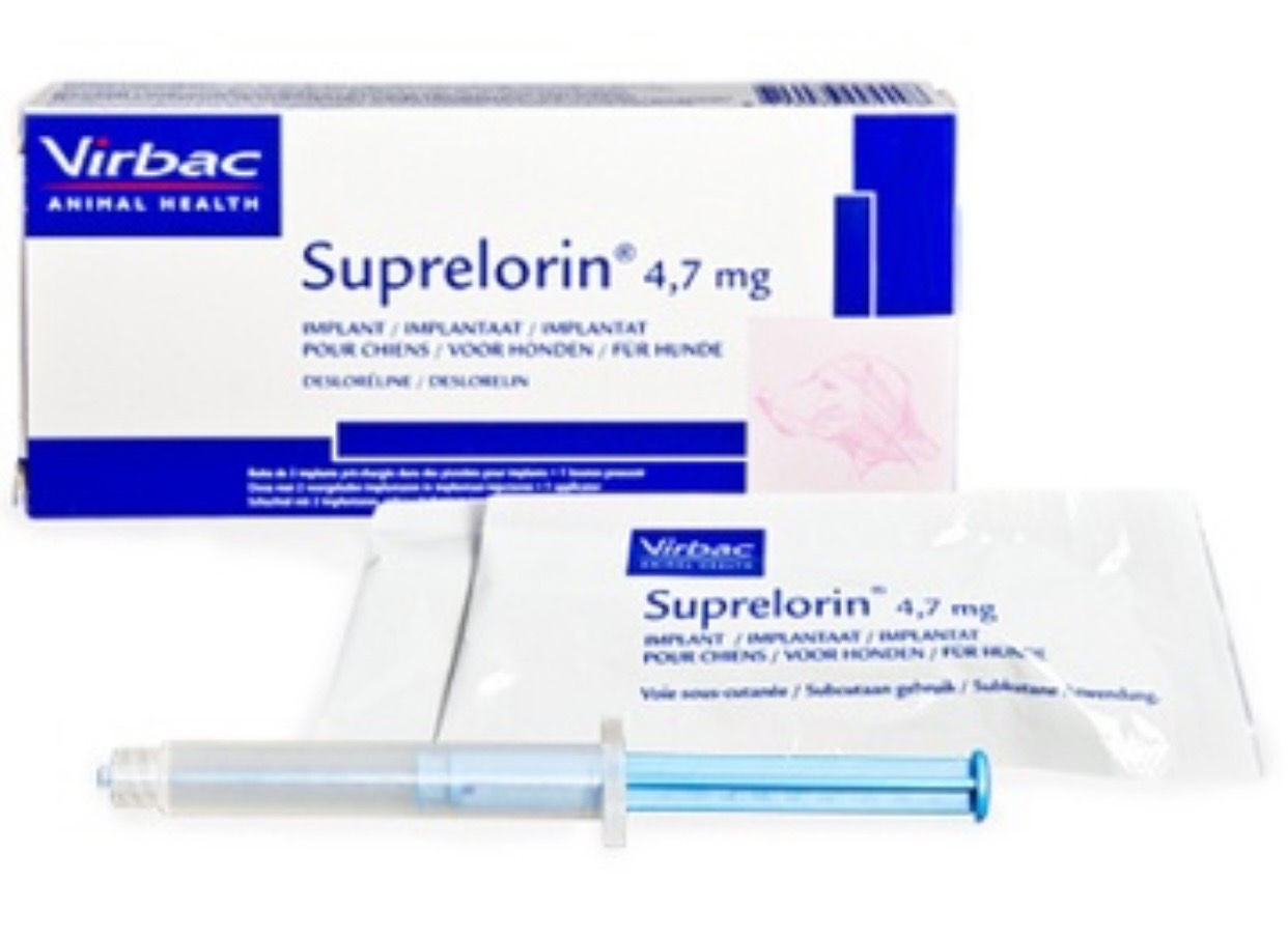 Chicken Implant (Donation)