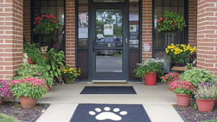 The entrance to a veterinary practice. It is a well-maintained brick building with beautiful flowers outside, and a cut doormat with a paw print.