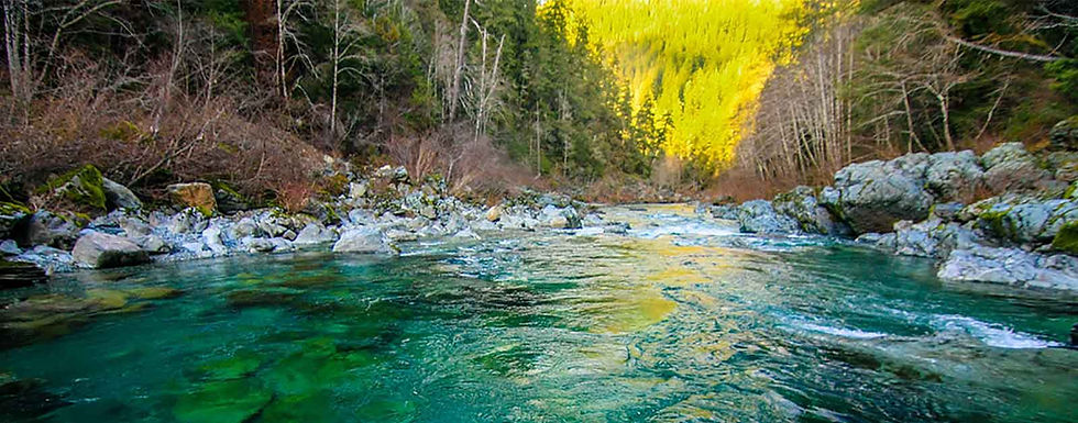 Value Stream Image