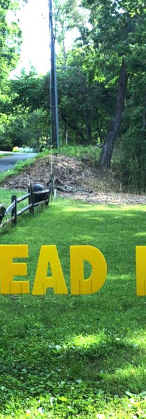 Spread Love- Eliza Mitchell- smaller.jpeg
