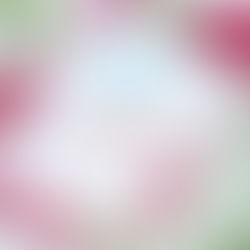 Celebrating outstanding Romanian American women in the arts and sciences