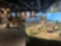 IMG_8895.jpeg