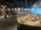 IMG_8895.jpeg