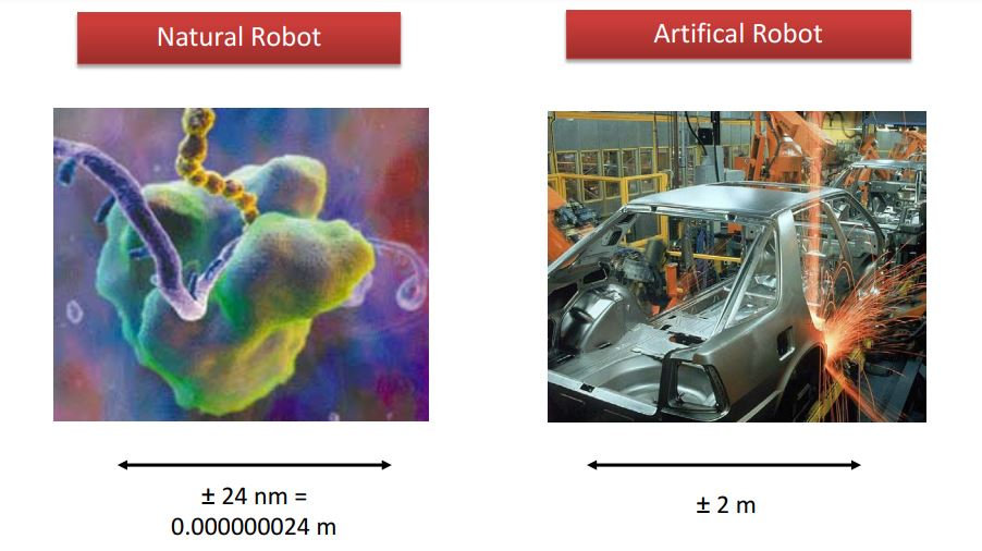 The art of building small-Molecular Machines