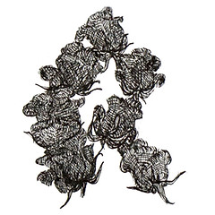 A letter R made up of small hand darwn roses from the R.O.S.E.S collection