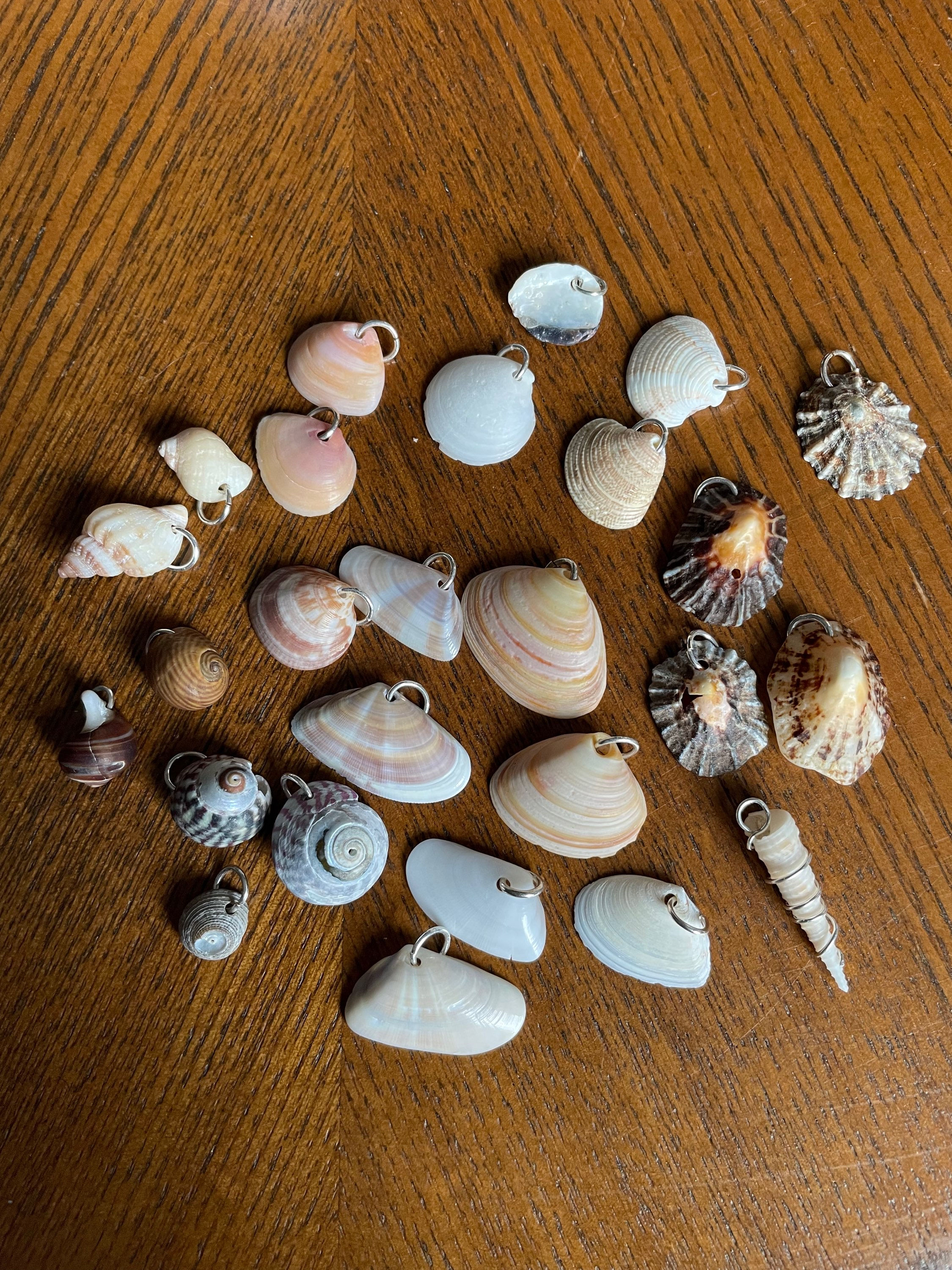 Shell Charms available