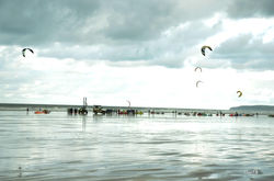 kites