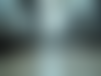 Effective Pest Control Strategies for Commercial Spaces in Greater Houston