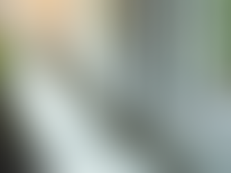 Mosquito Control in Cypress, TX | Proven Ways to Protect Your Home