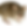 Screenshot 2025-12-02 at 5.50.59 PM.png
