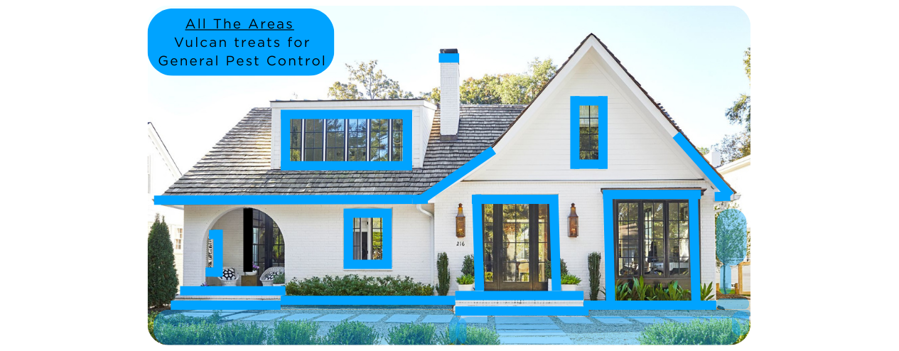 Areas that Vulcan treats on a home 