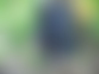 Nerello nero di Ferruzzano