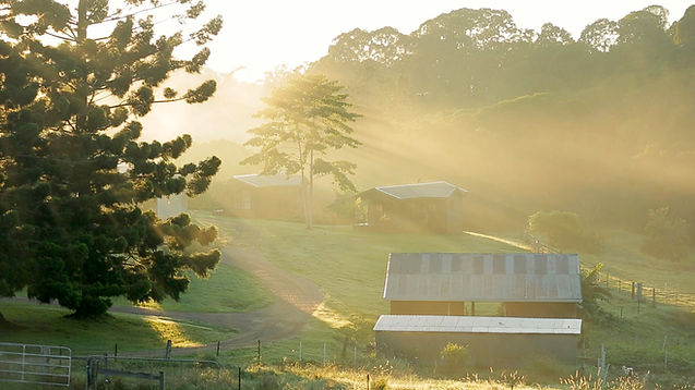 Farm8 Maca Shed.jpg