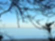 IMG_6265.jpeg