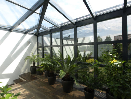 Jakie rośliny wybrać do ogrodu zimowego ?