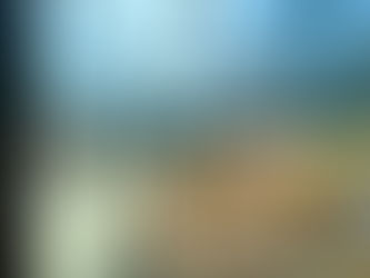 Ogród Zimowy: Jakie są Najlepsze Opcje Wykończenia Podłóg?