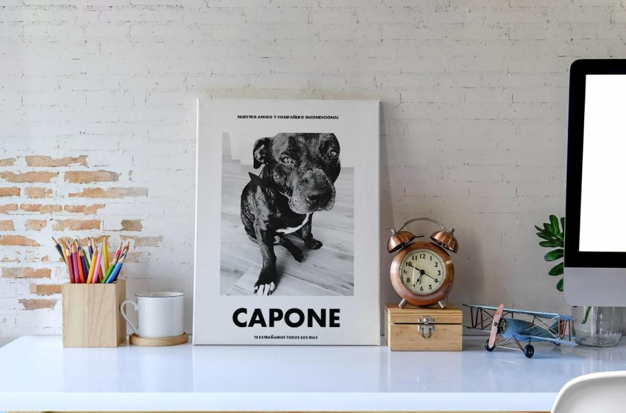 Diseño Capone - Recuerdo 