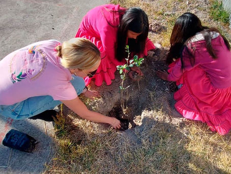 Siembran árboles en escuelas de la Sierra